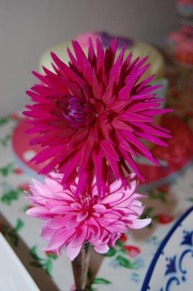 Rainbow flower cake recipe