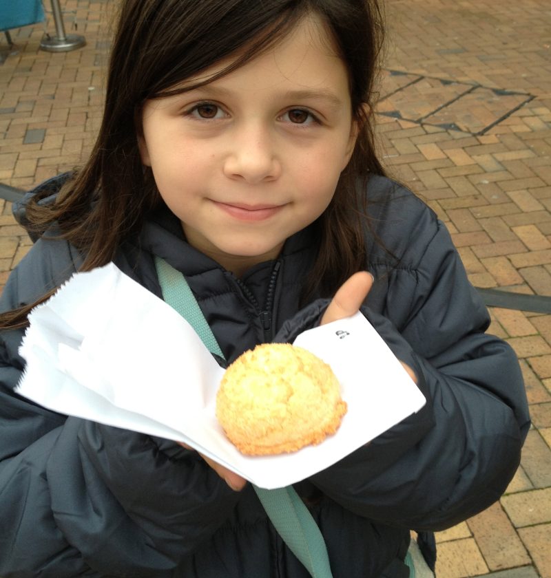 Coconut macaroons...the search begins