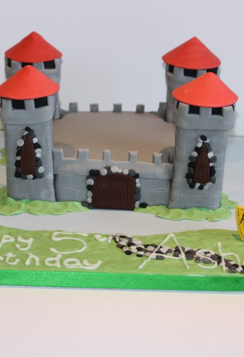 Asher's Castle Birthday Cake