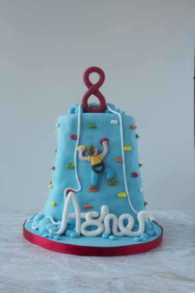 Asher Climbing 8th Birthday cake