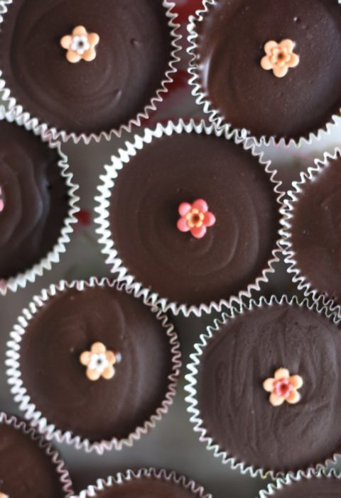 Chocolate ganache cupcakes